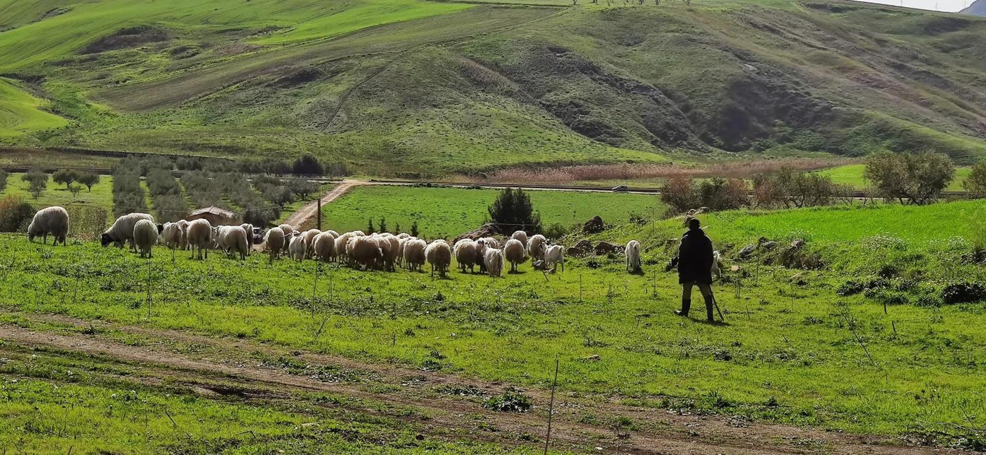 B&B Della Via Francigena Agrigento Buitenkant foto