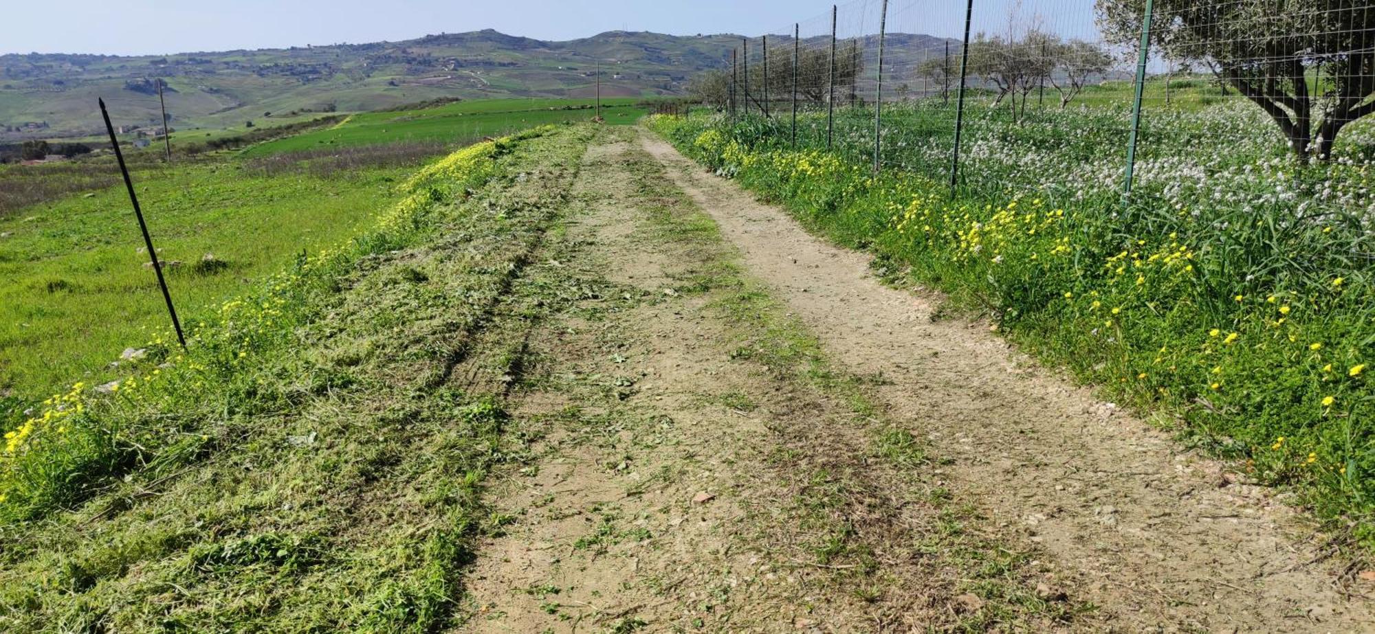 B&B Della Via Francigena Agrigento Buitenkant foto